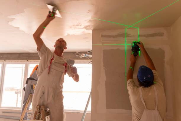 Best Drywall Sanding and Smoothing  in Springville, IA